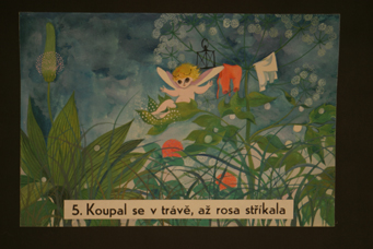 grafika 004