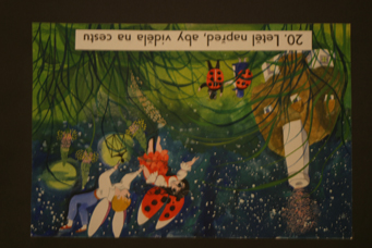 grafika 037